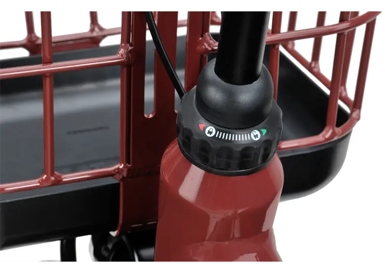 Rower elektryczny BATAVUS Altura E-Go Power - obrazek 7