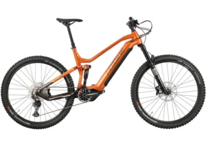 Rower elektryczny HAIBIKE AllTrail 6 29