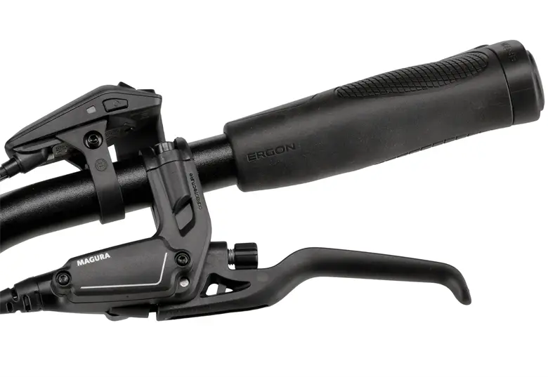 Rower elektryczny SIMPLON Kagu :E Cues - obrazek 11