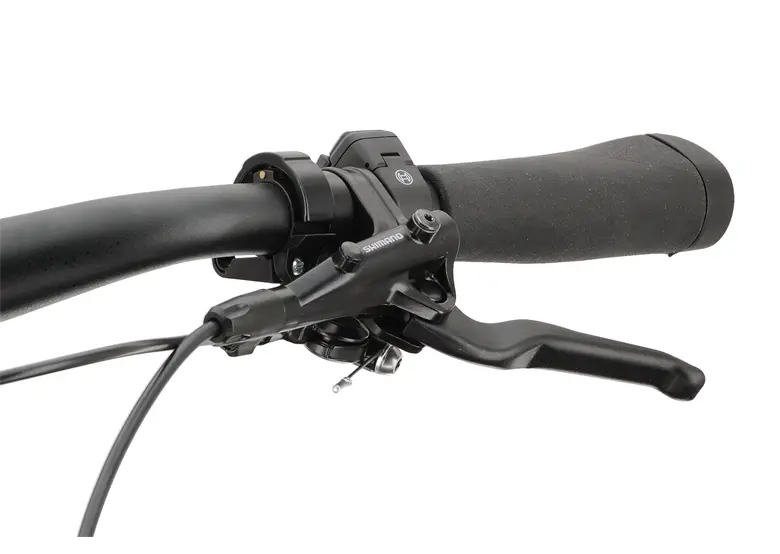 Rower elektryczny WINORA iRide Pure R5f - obrazek 11