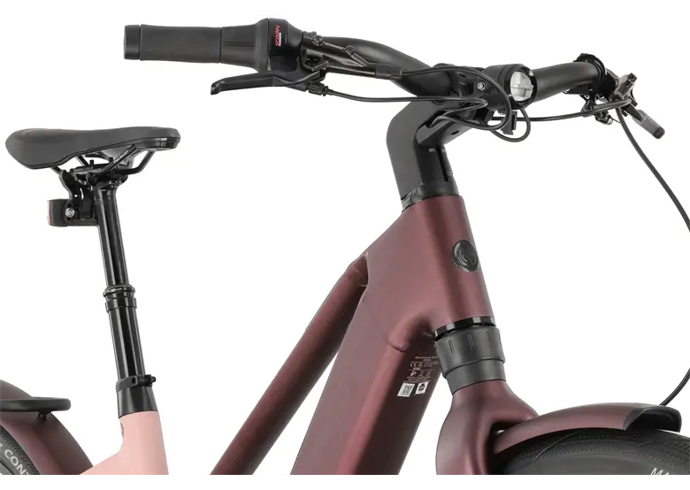 Rower elektryczny WINORA iRide Pure R5f - obrazek 4